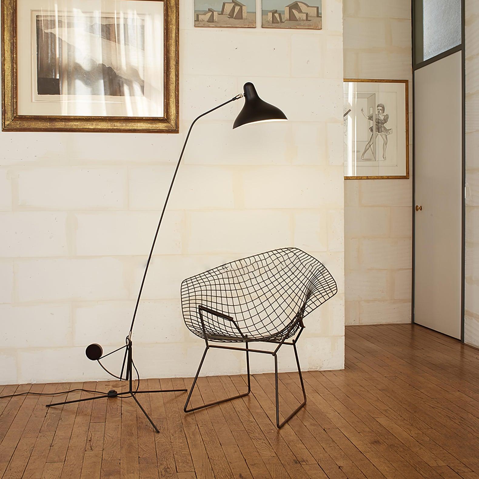 Mantis_Arm_Floor_Lamp__16