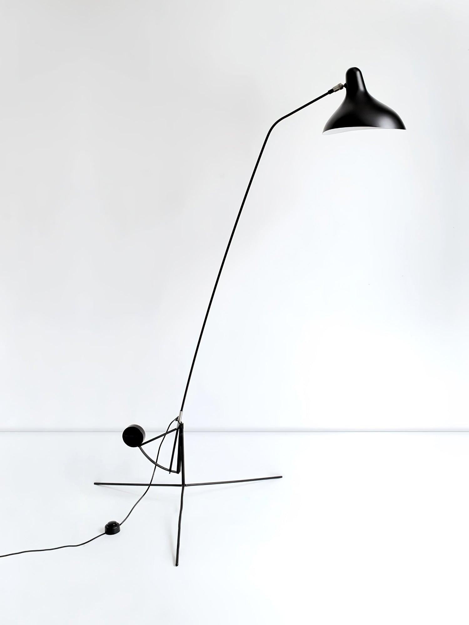 Mantis_Arm_Floor_Lamp__7