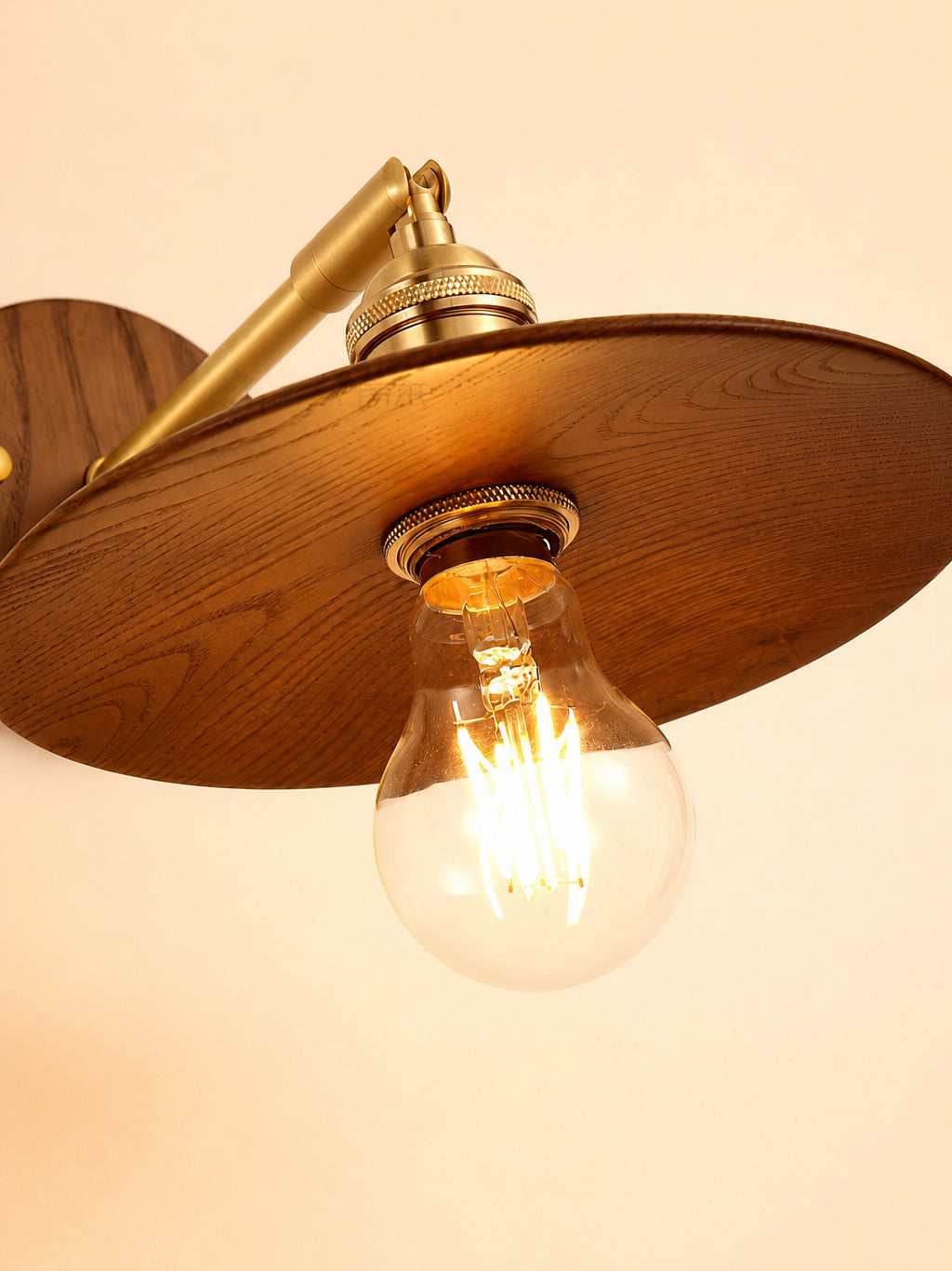 Mooiehome_Arborin_Disc_Wall_Sconce_12