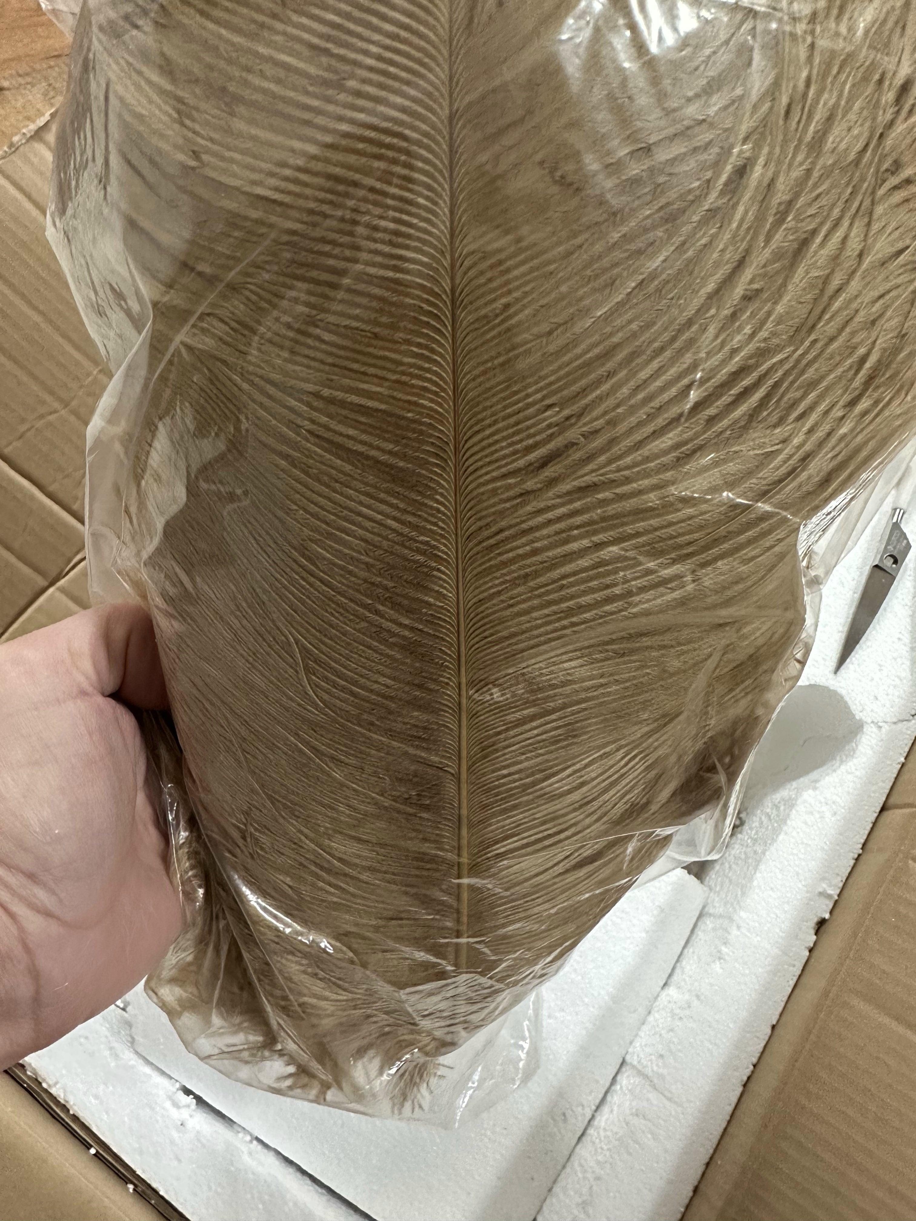 Ostrich_Feather_Floor_Light_60