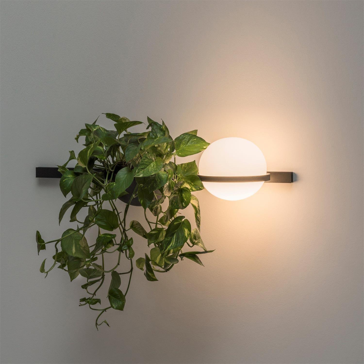 Palma_Wall_Lamp_22
