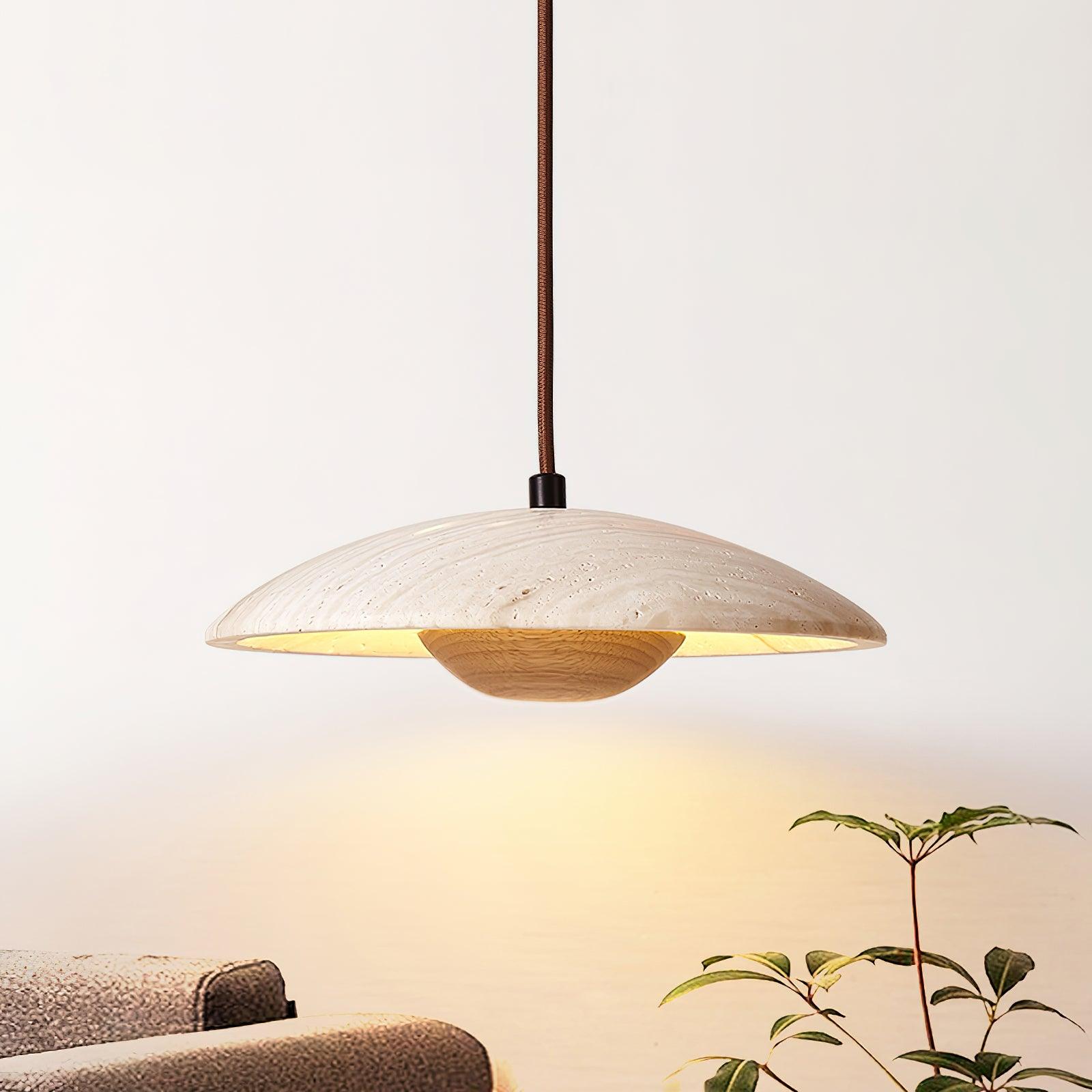 Plate_Pendant_Lamp_4