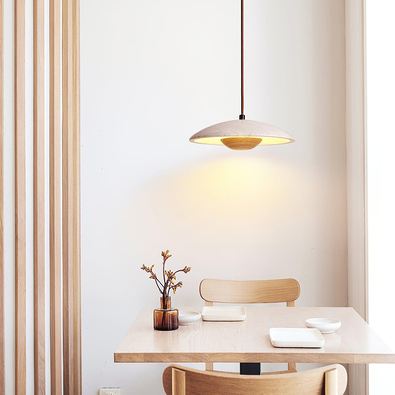 Plate_Pendant_Lamp_5