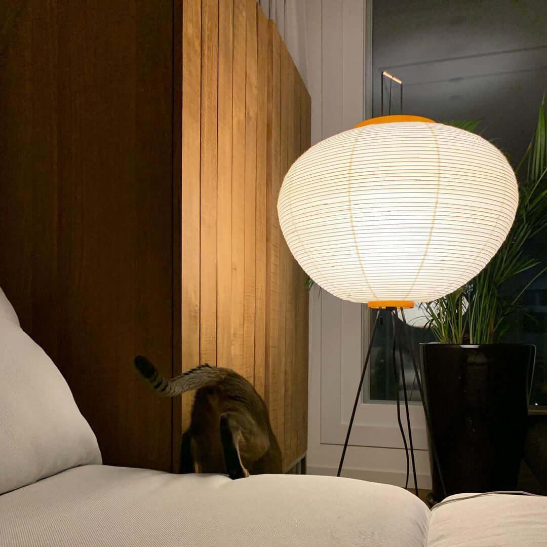 Rice_Paper_Floor_Lamp_62