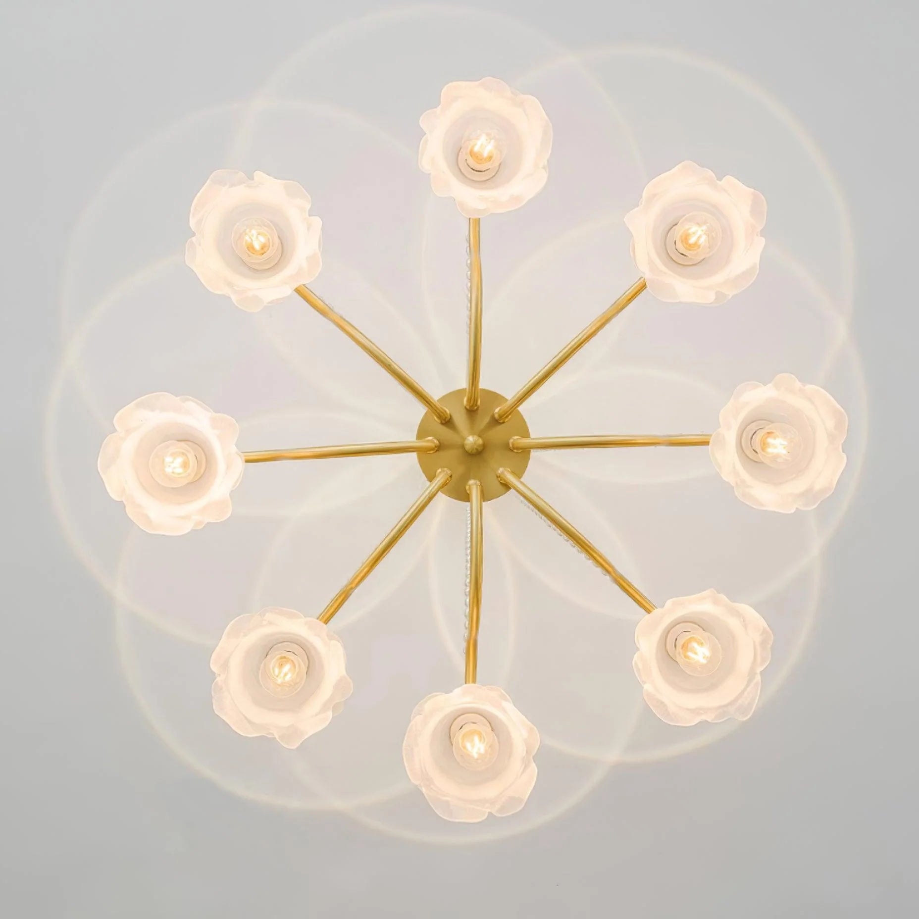Roses-Landi-Chandelier_14