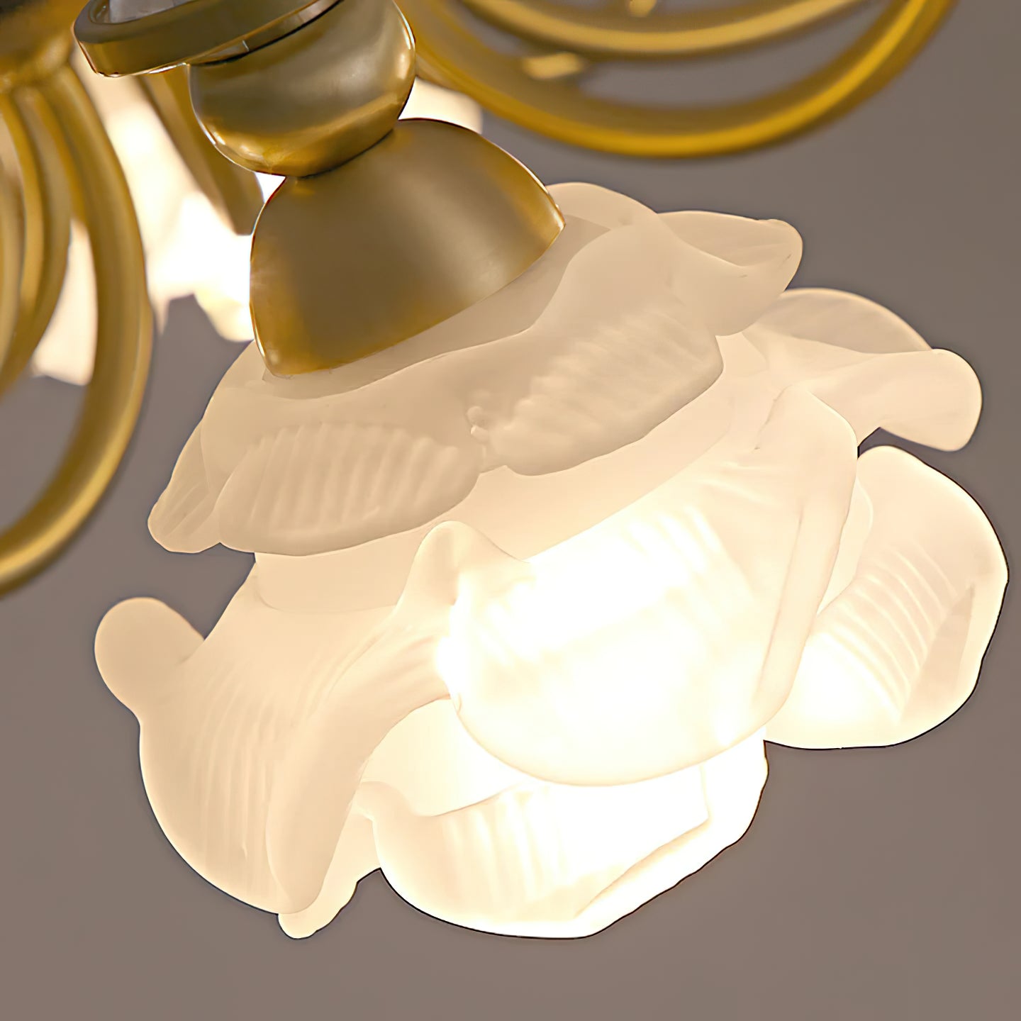 Roses-Landi-Chandelier_15