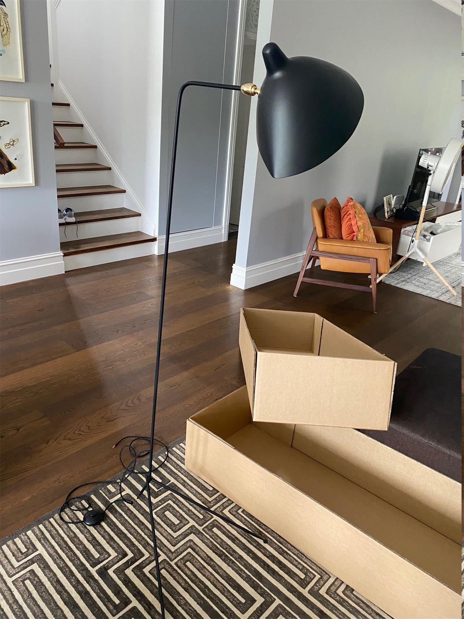 Serge_Mouille_Floor_Lamp_23
