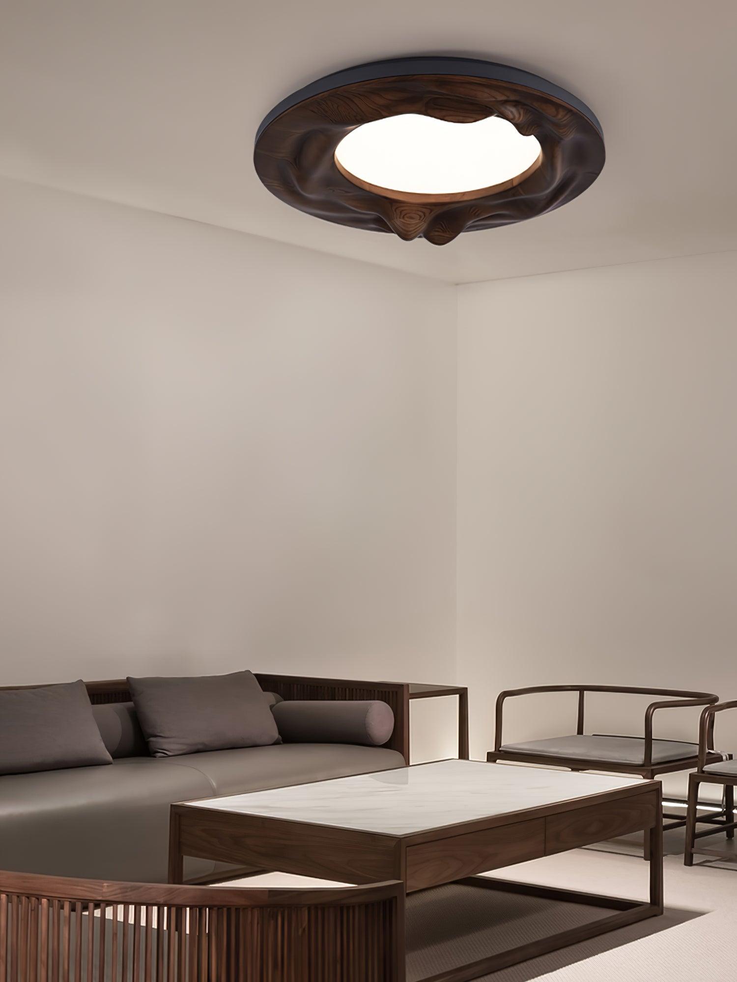 Sky_Lake_Ceiling_Lamp_14