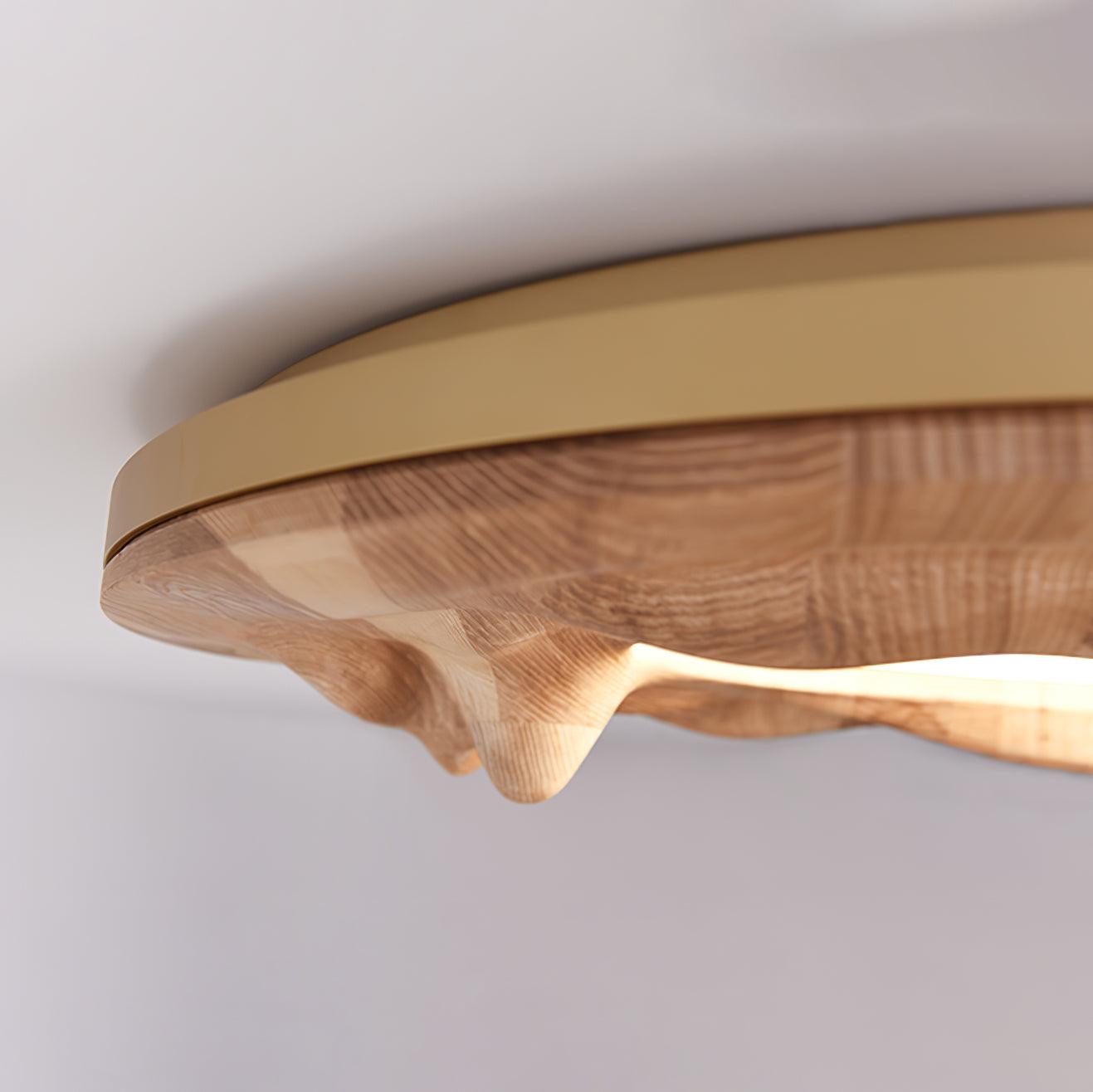Sky_Lake_Ceiling_Lamp_19