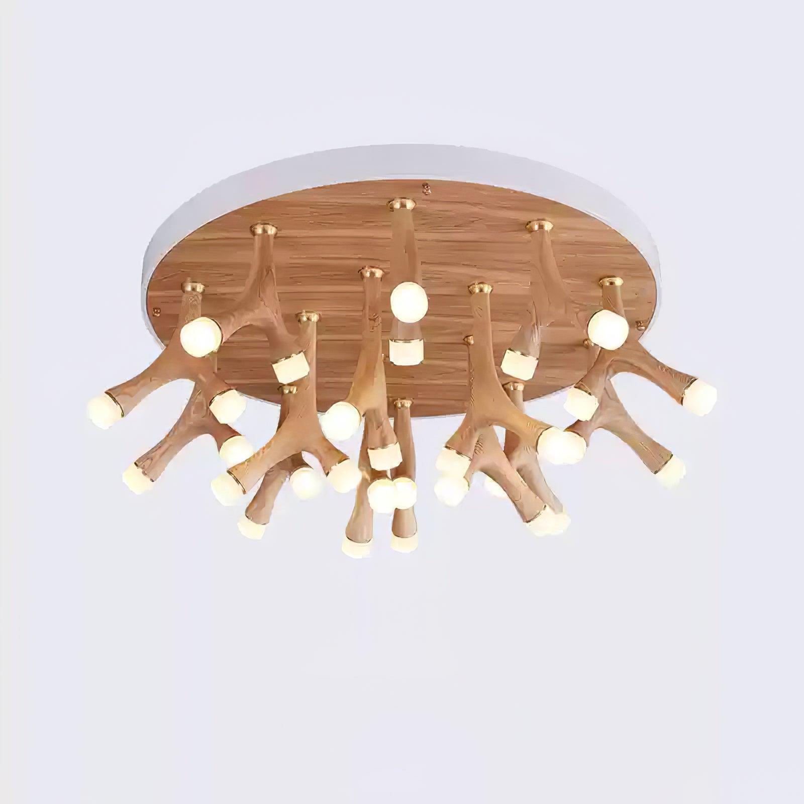 Tentacle_Ceiling_Lamp_11